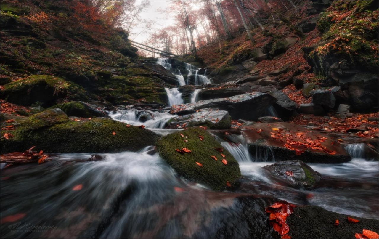 Лісова Хатинка Daire Kelechin Dış mekan fotoğraf